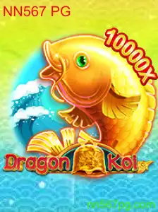 Descubra o Fascinante Mundo de DragonKoi