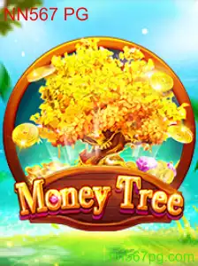 Explorando o Mundo de MoneyTree: NN567 PG